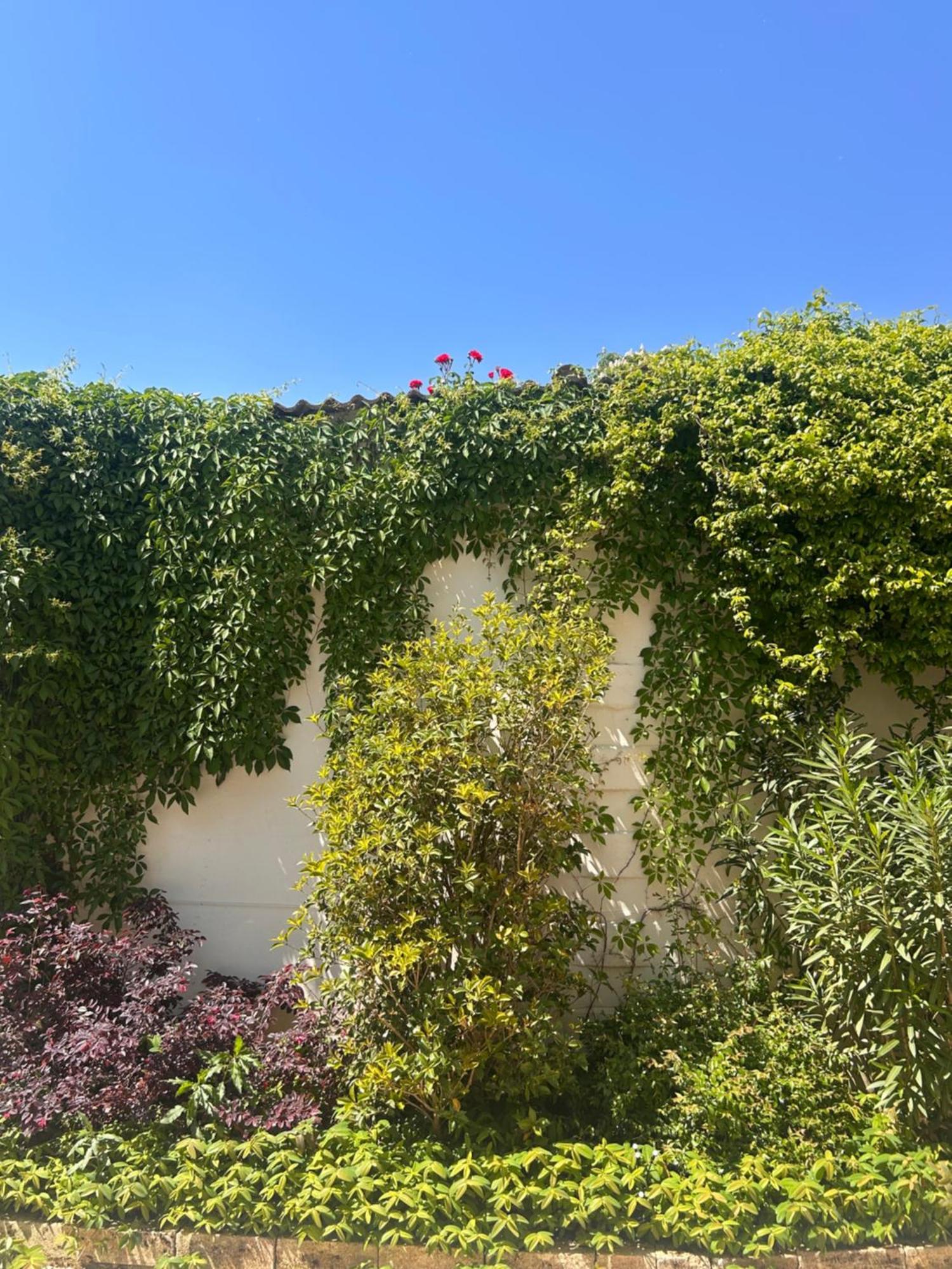 Dependance La Corte Pizzighettone Exterior foto
